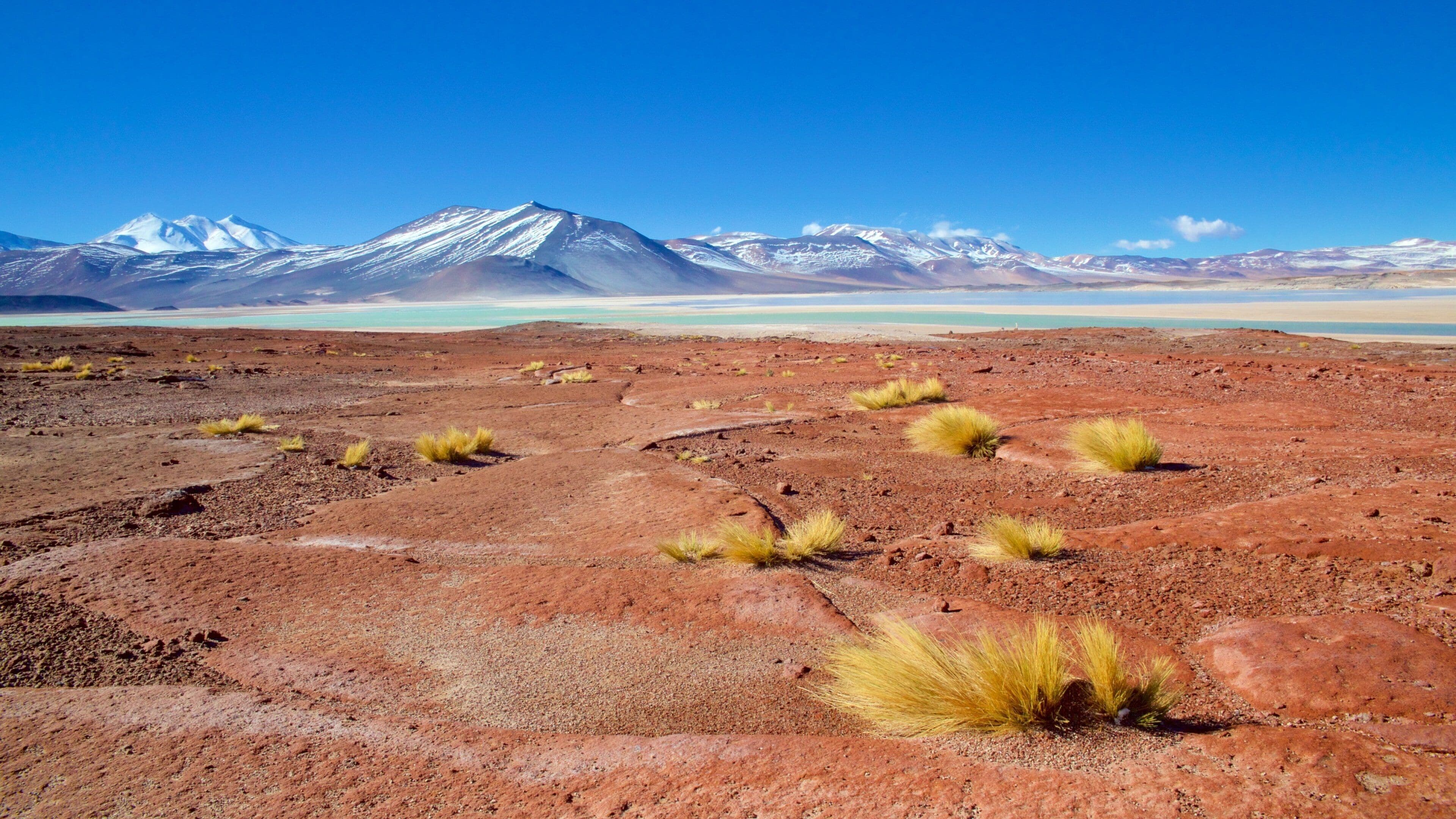 San Pedro de Atacama which includes tranquil scenes, landscape views and a lake or waterhole