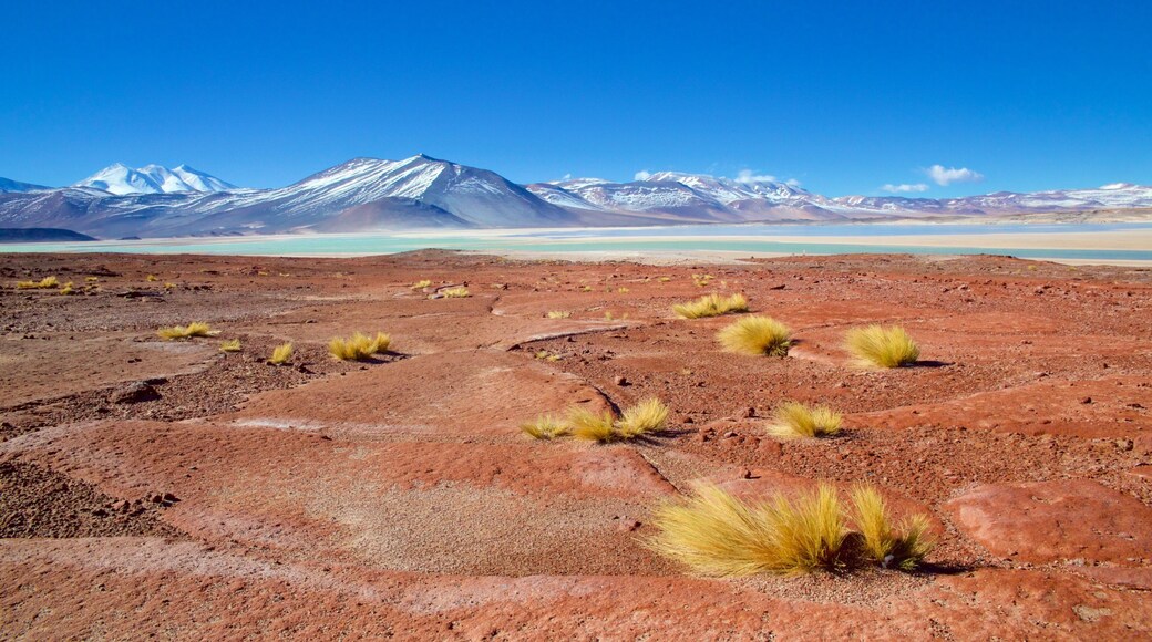 San Pedro de Atacama showing landscape views, a lake or waterhole and tranquil scenes
