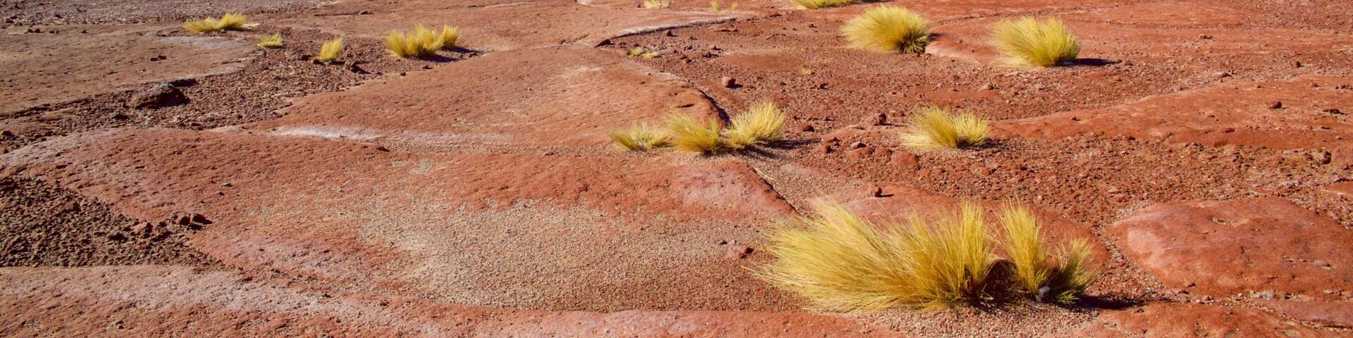 San Pedro de Atacama featuring landscape views, tranquil scenes and a lake or waterhole