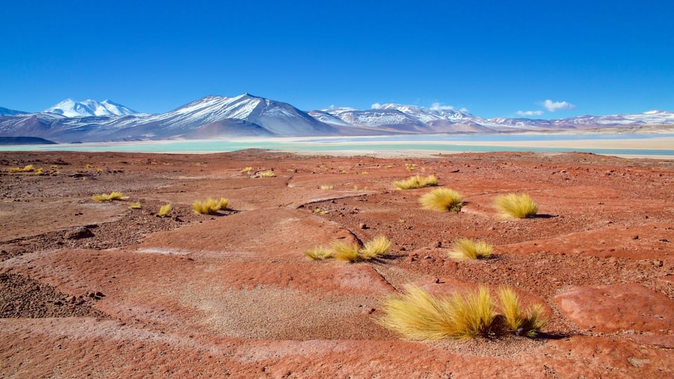 San Pedro de Atacama presenterar landskap, en sjö eller ett vattenhål och stillsam natur