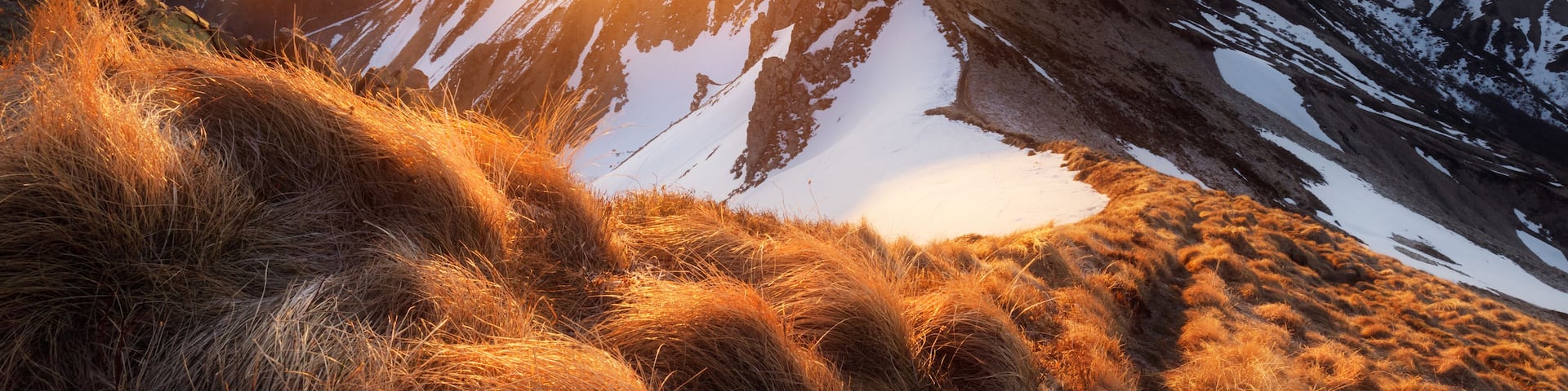 A mountain range with snow-covered peaks and a grassy foreground.