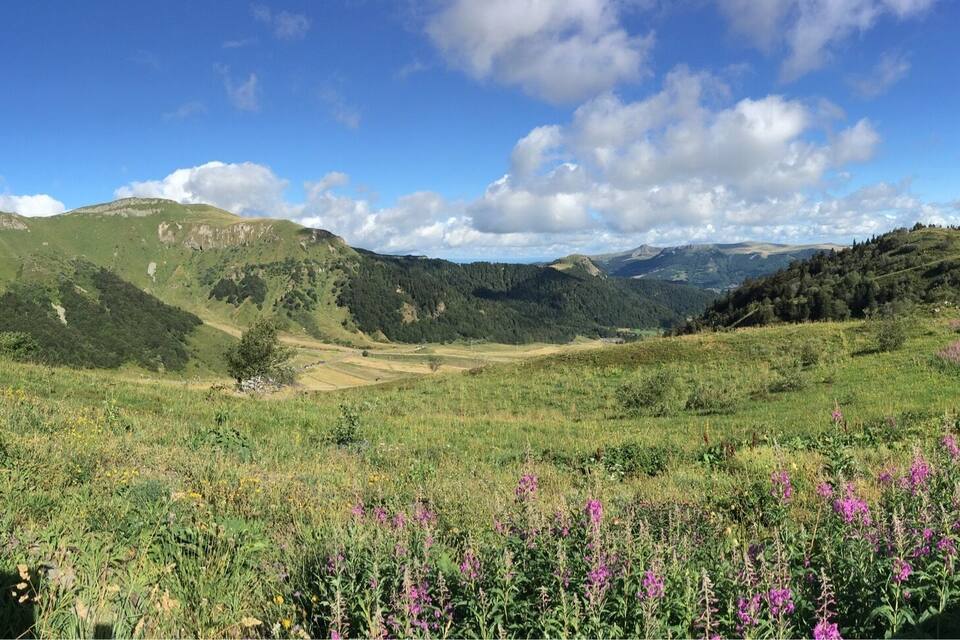 En dal med gröna kullar, lila blommor och en klarblå himmel.