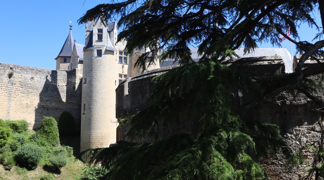 Extérieur du château de Montreuil-Bellay (49).