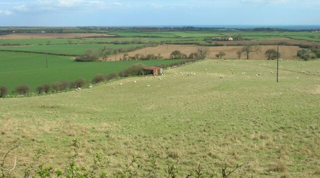 Farmland From High Lane Filey Bay in the distance.