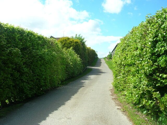 Track to Field House Farm Also part of the Centenary Way footpath.