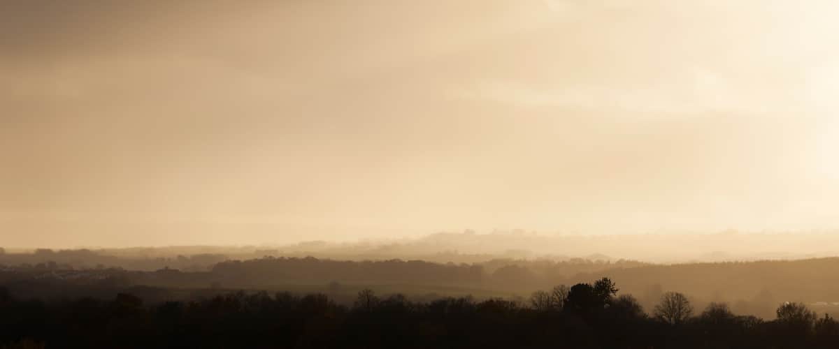 A misty landscape with rolling hills and scattered trees.