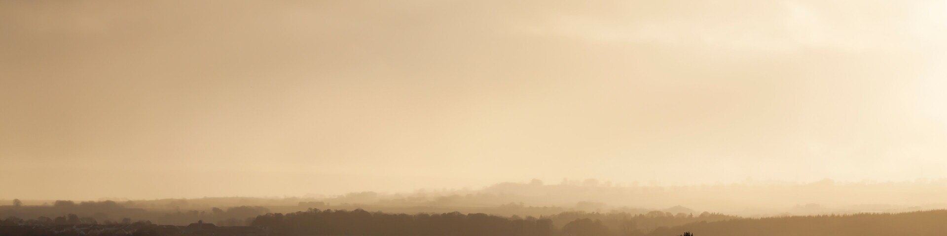 A misty landscape with rolling hills and scattered trees.