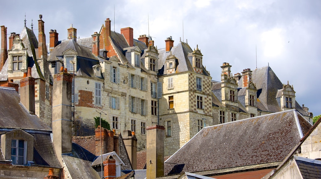 Saint-Aignan featuring a castle and heritage architecture