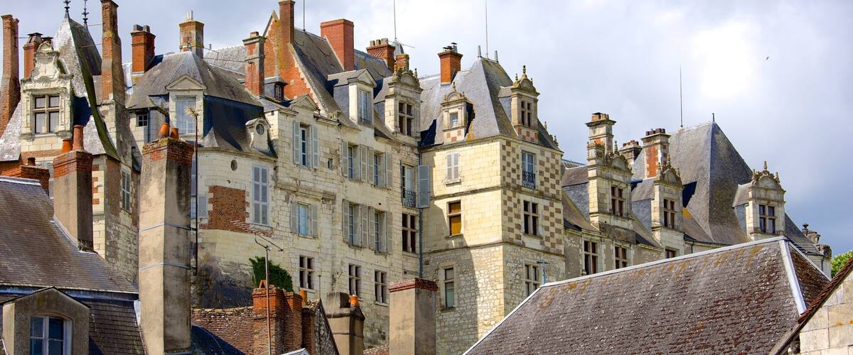 聖艾尼昂 呈现出 城堡 和 遺跡建築