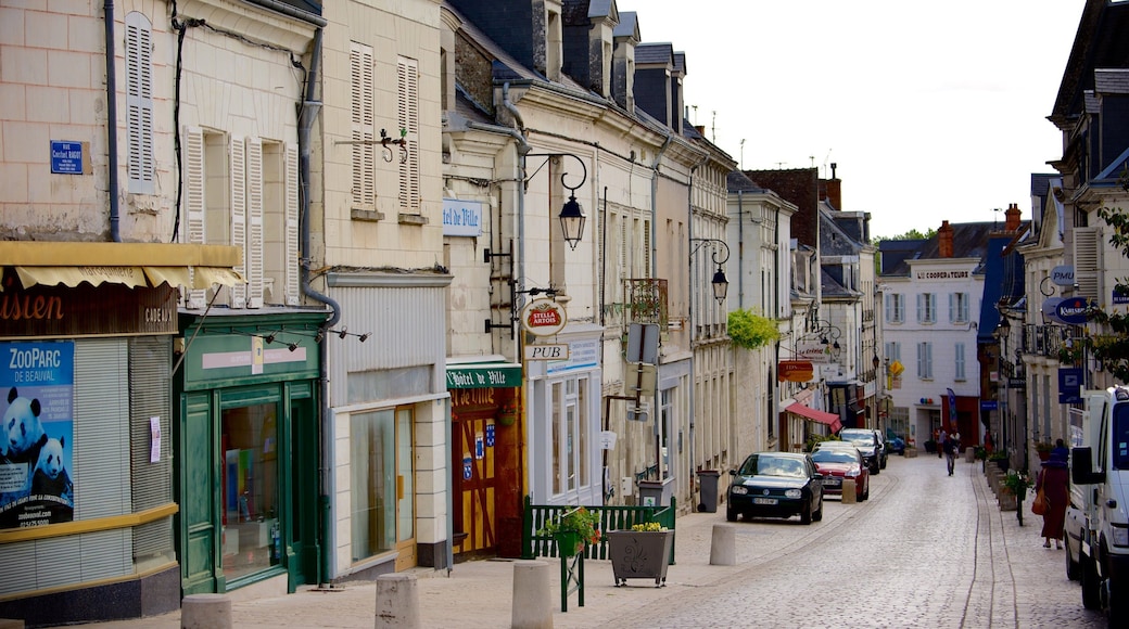 Saint-Aignan showing a small town or village and street scenes