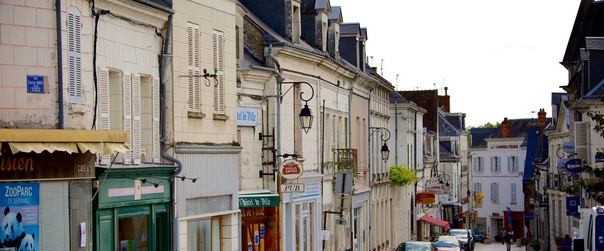 A cobblestone street lined with historic buildings, a green awning, and a sign for a zoo.