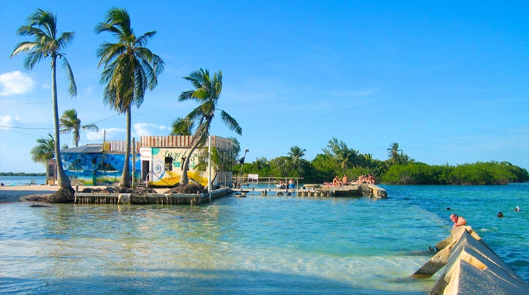 Caye Caulker showing tropical scenes and general coastal views