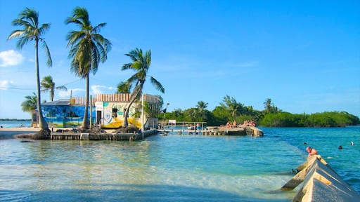 Cayo Corker mostrando escenas tropicales y vistas de una costa