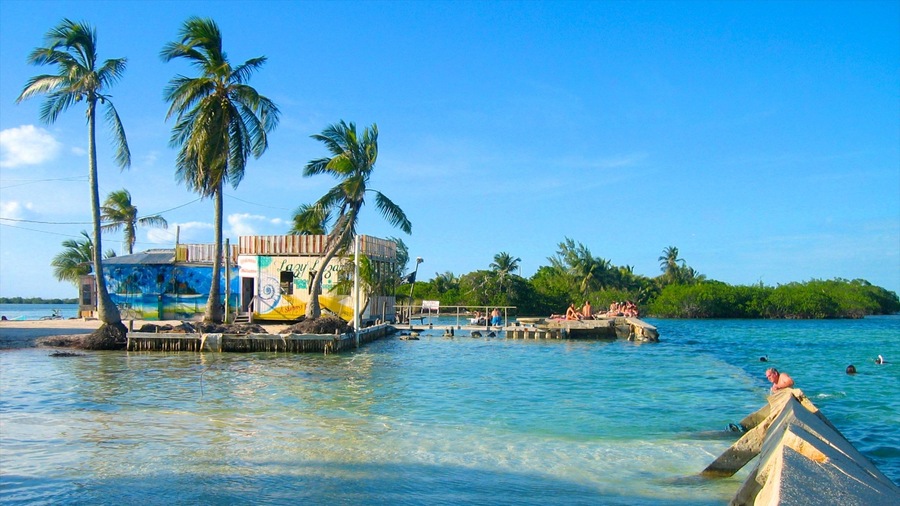 Caye Caulker showing tropical scenes and general coastal views