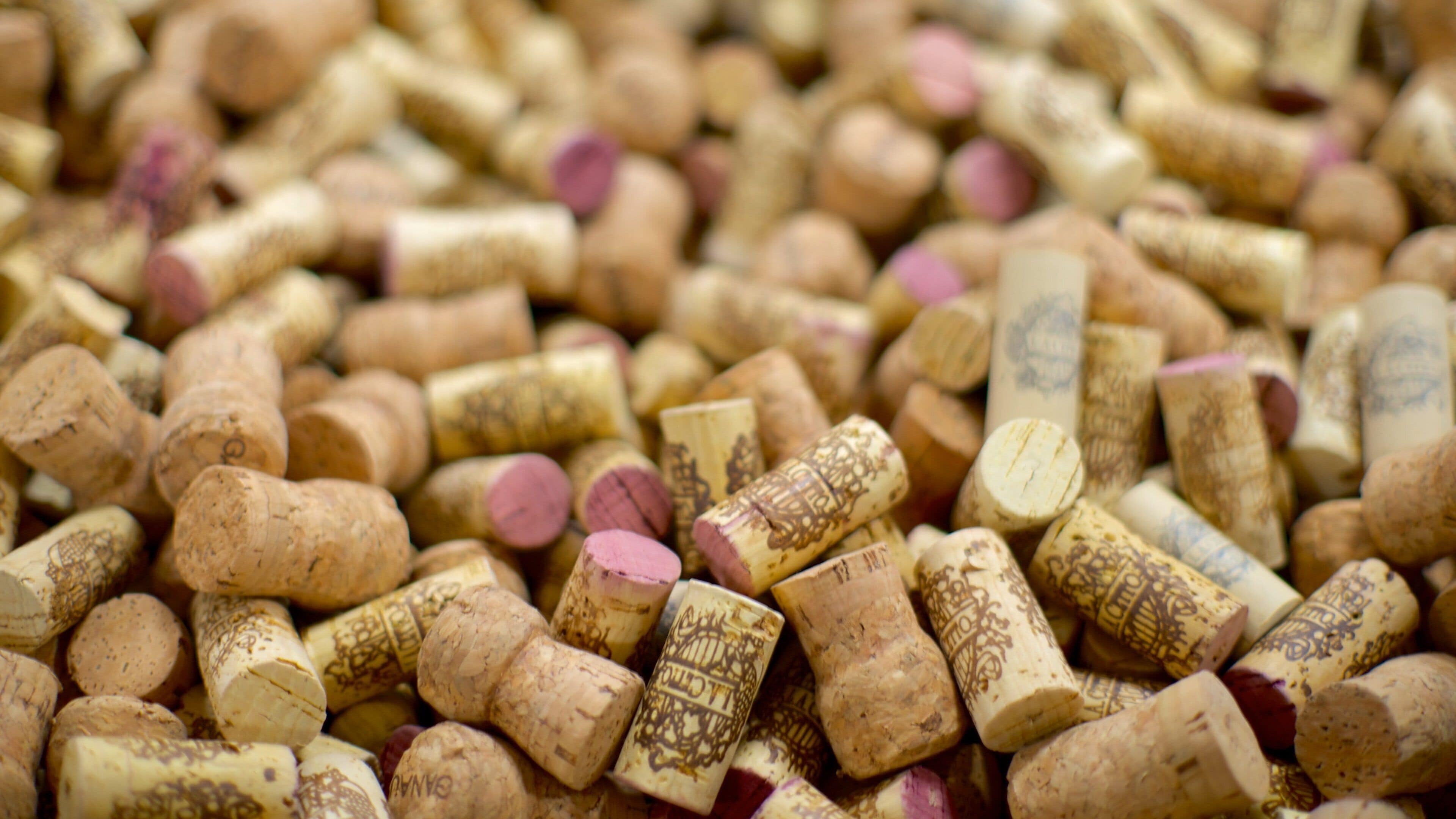 Mexico and Central America