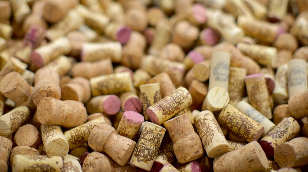 Mexico and Central America