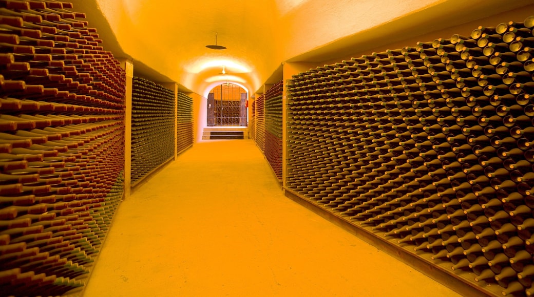 L.A. Cetto Wine Cellar showing interior views