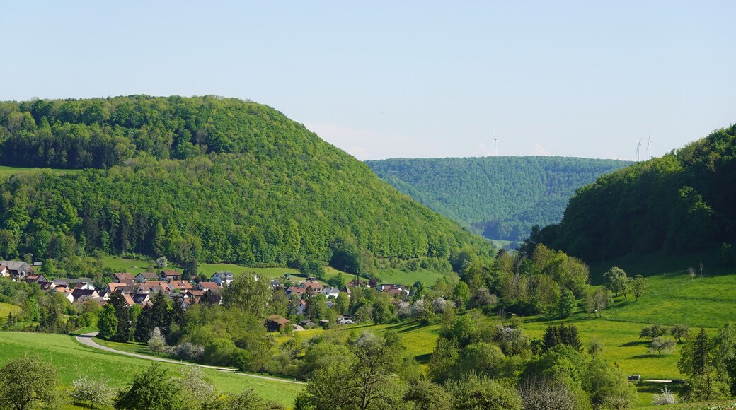 กอปปิงเกน