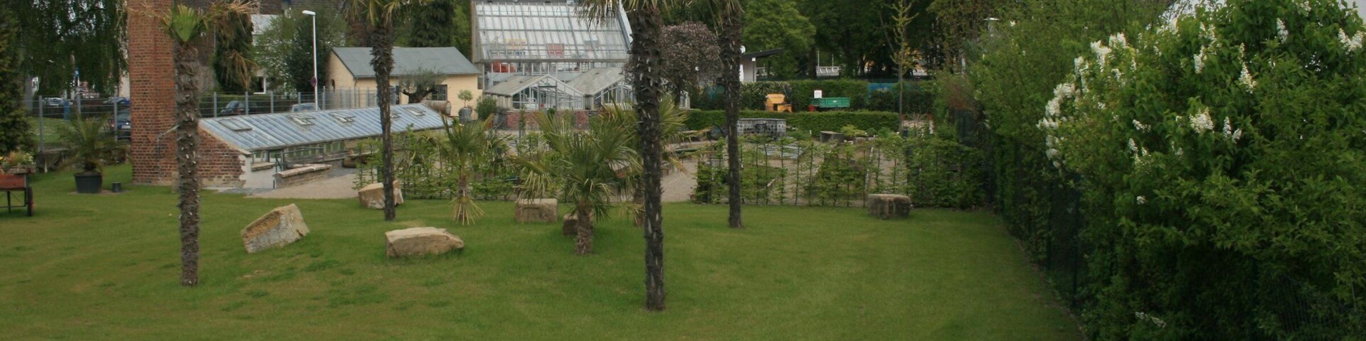 A grassy park with palm trees, a greenhouse, and a brick building.