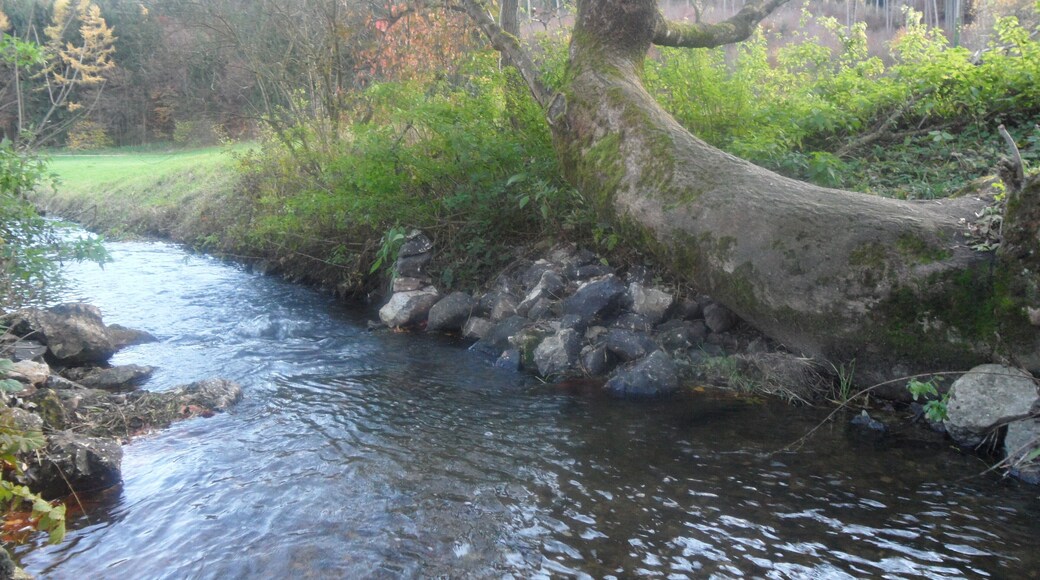 Flutkanal nach Nassenfels (bei Schutter)