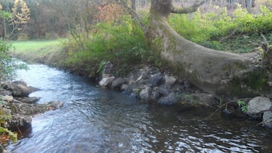 Flutkanal nach Nassenfels (bei Schutter)