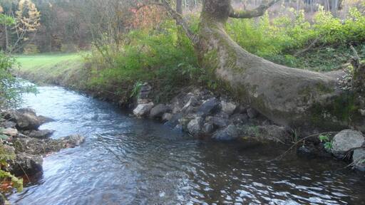 Flutkanal nach Nassenfels (bei Schutter)