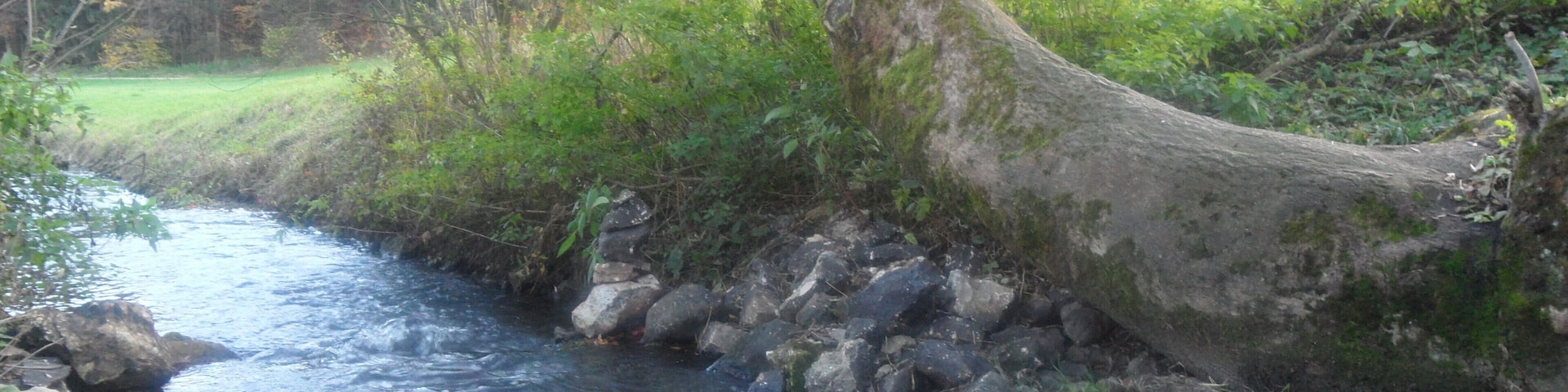 Flutkanal nach Nassenfels (bei Schutter)