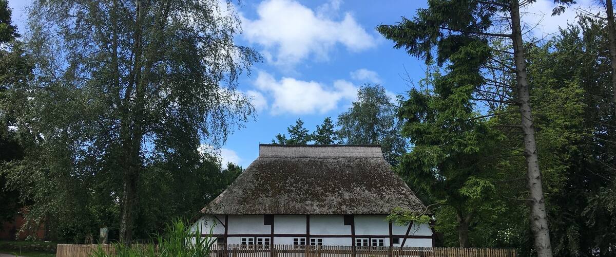 A traditional thatched-roof house surrounded by lush greenery and a clear blue sky.