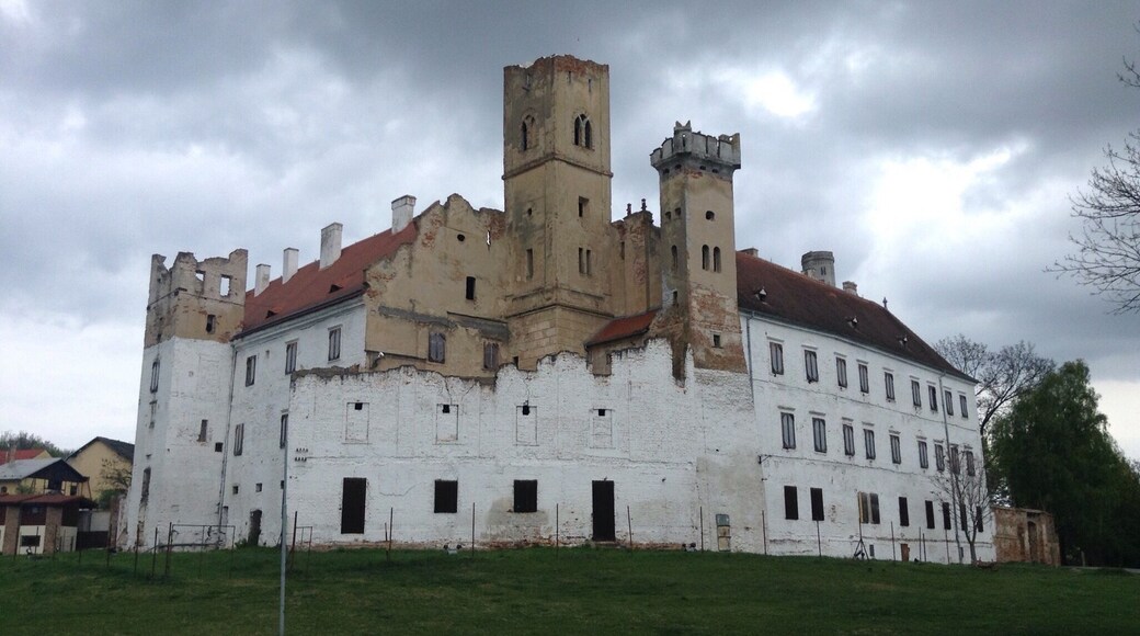 Breclav castle has definitely seen better days. Strange that the tower and some walls were crumbling, yet the roof looked incredibly well maintained.
#architecture