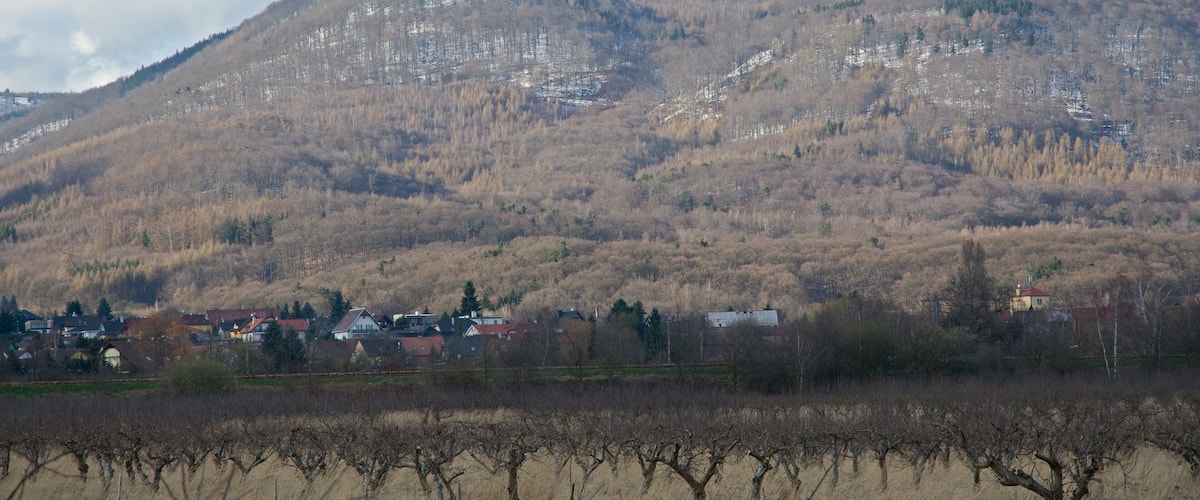A mountain with a tower on top, a town at its base, and vineyards in the foreground.