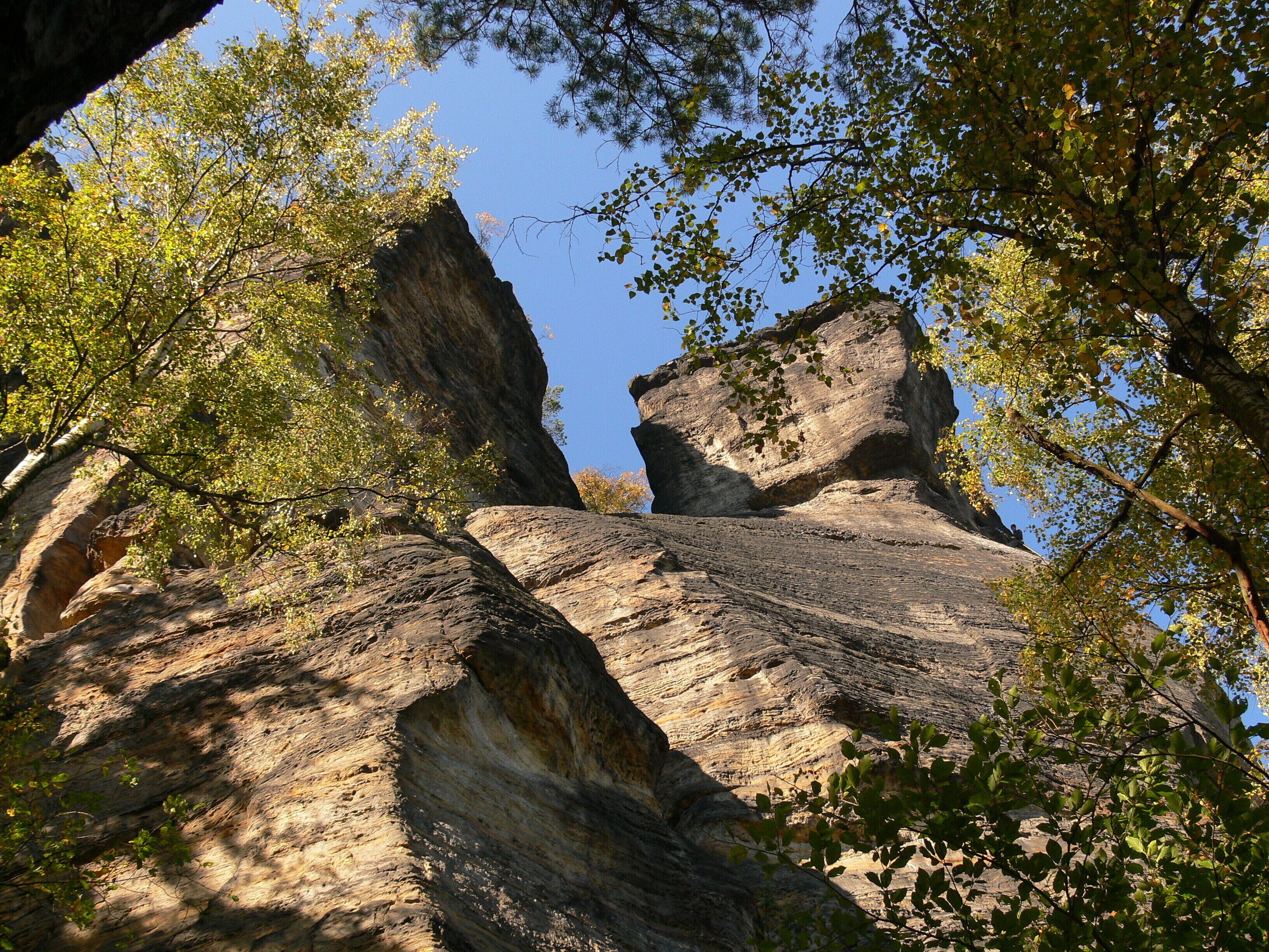 A rock formation with layered strata and surrounding foliage.