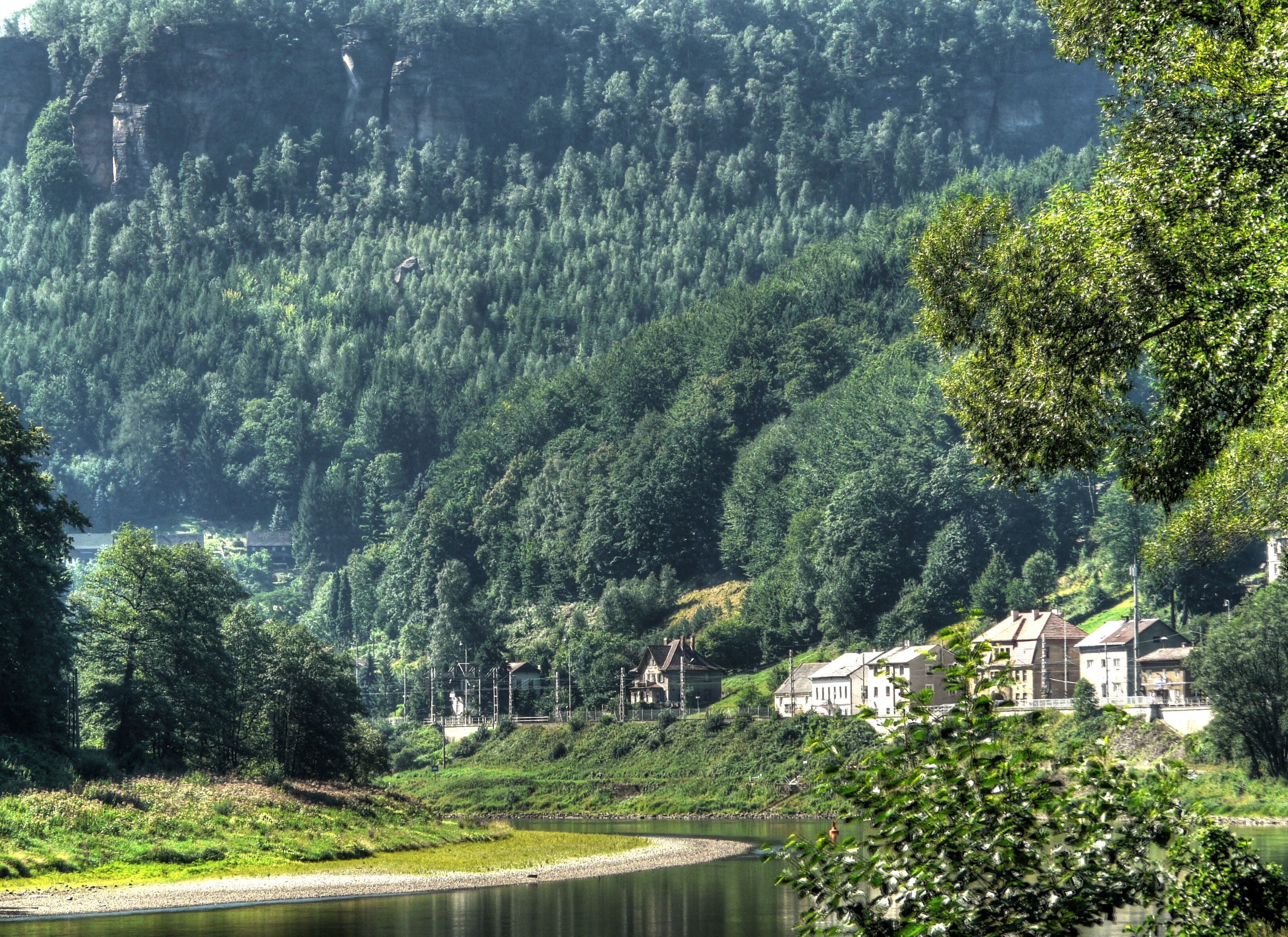 A river with houses on a hillside and dense forest in the background.