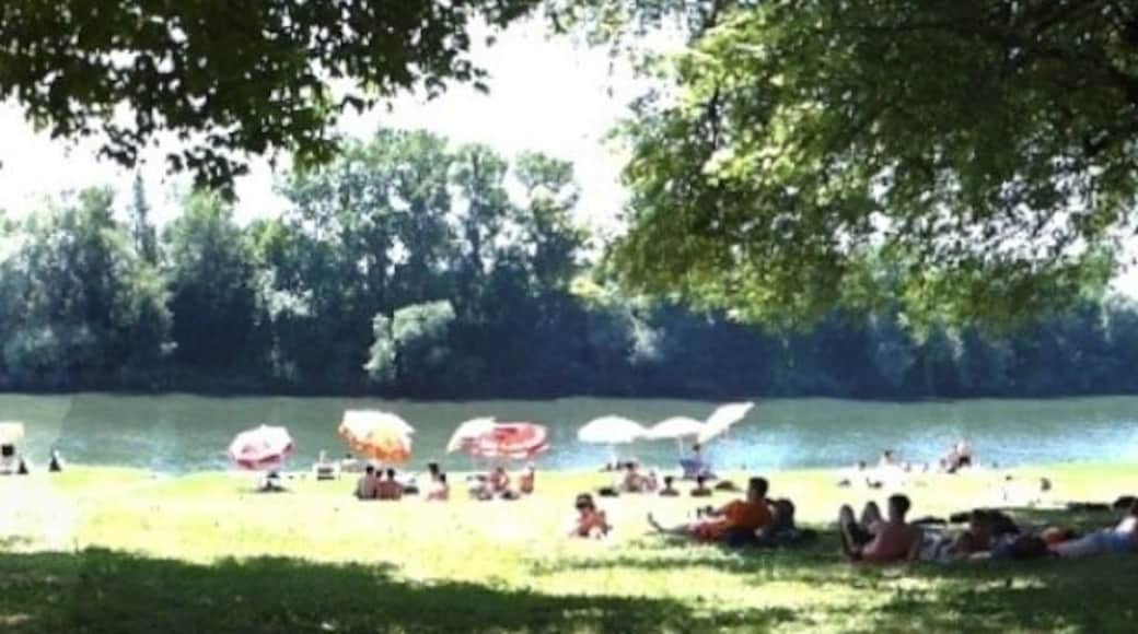 Place to be in summertime...