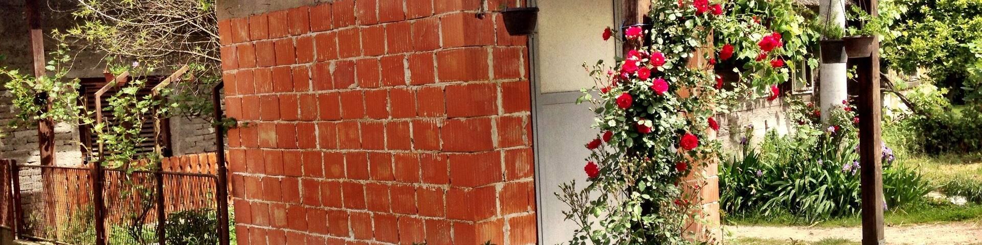 ฤigoฤ, Croatia.. an extremely small stork village in Croatia. When most people think of Croatia, they think of beaches. But really there is so much more to that beautiful country.