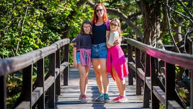 Family hiking on wooden bridges of Krka waterfalls. Mother and daughters walking the wooden bridge pathway on Krka river and waterfalls in Croatia.