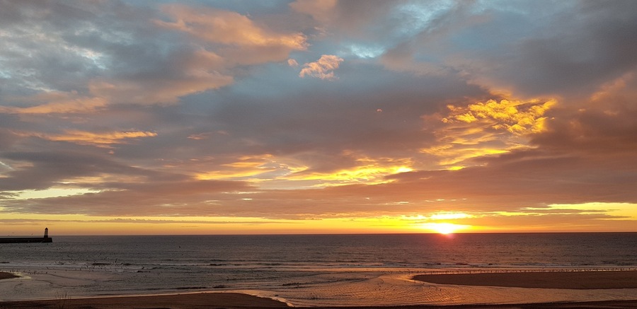 Early walkies along the promenade #hometown #beach #golden #berwick #northumberland