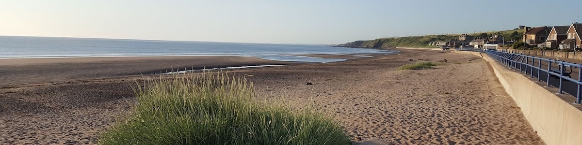 Ein sandiger Strand mit einer Betonmauer, einer Grünfläche und Häusern entlang der Küste.