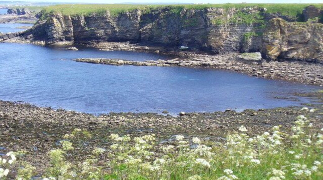 By Little Clett, Brough The bay near low tide seen from the road to Dunnet Head. The cliffs are layered old red sandstone and the shore is rocky.