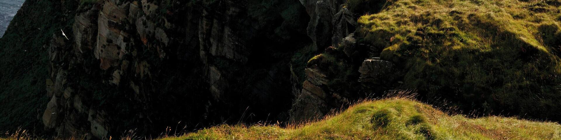 Superb day, superb feel! I felt so small, yet so grand!
#Green #waterlust