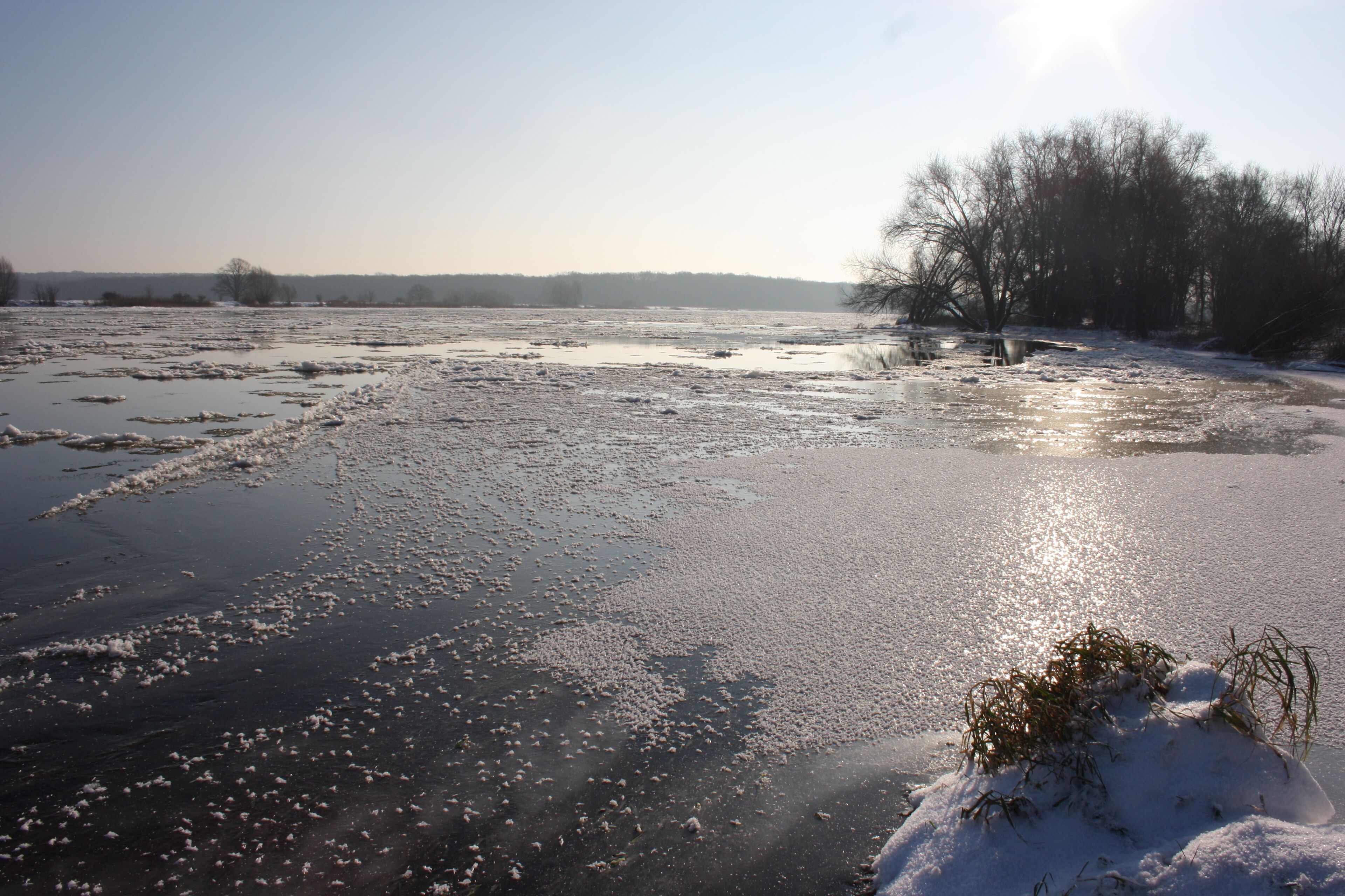Winterimpression an der Oder bei Frankfurt (Oder)