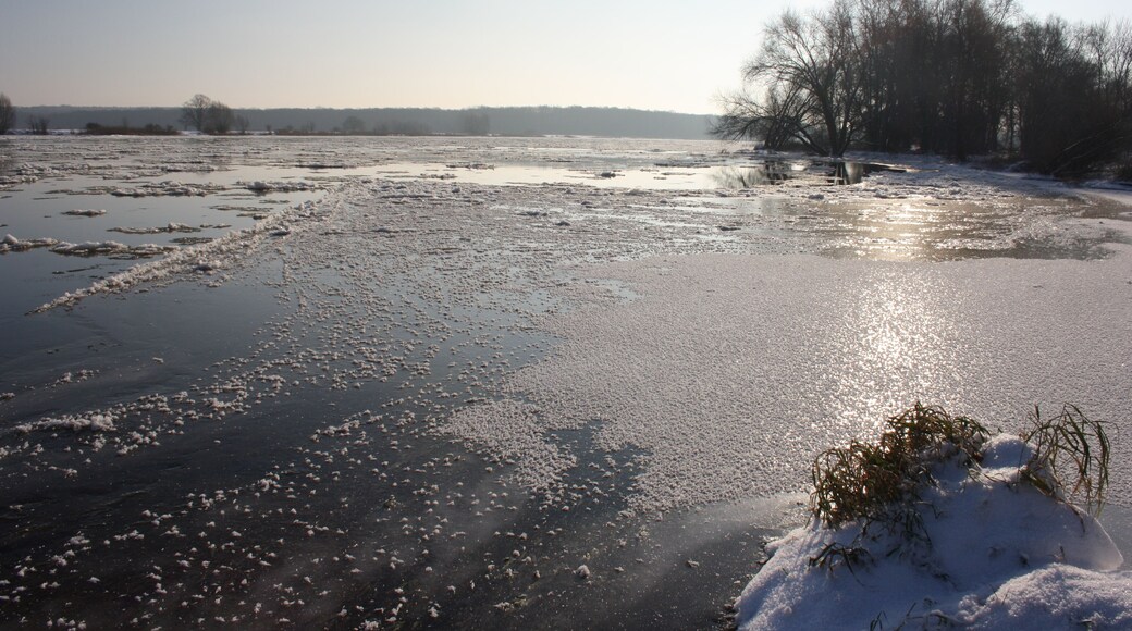 Winterimpression an der Oder bei Frankfurt (Oder)