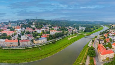 Panorama view of Przemysl in Poland