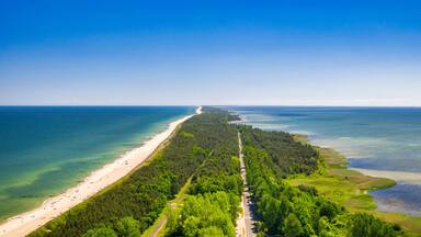 Un paisaje costero con una extensa playa arenosa, un denso bosque verde y un cielo azul despejado.