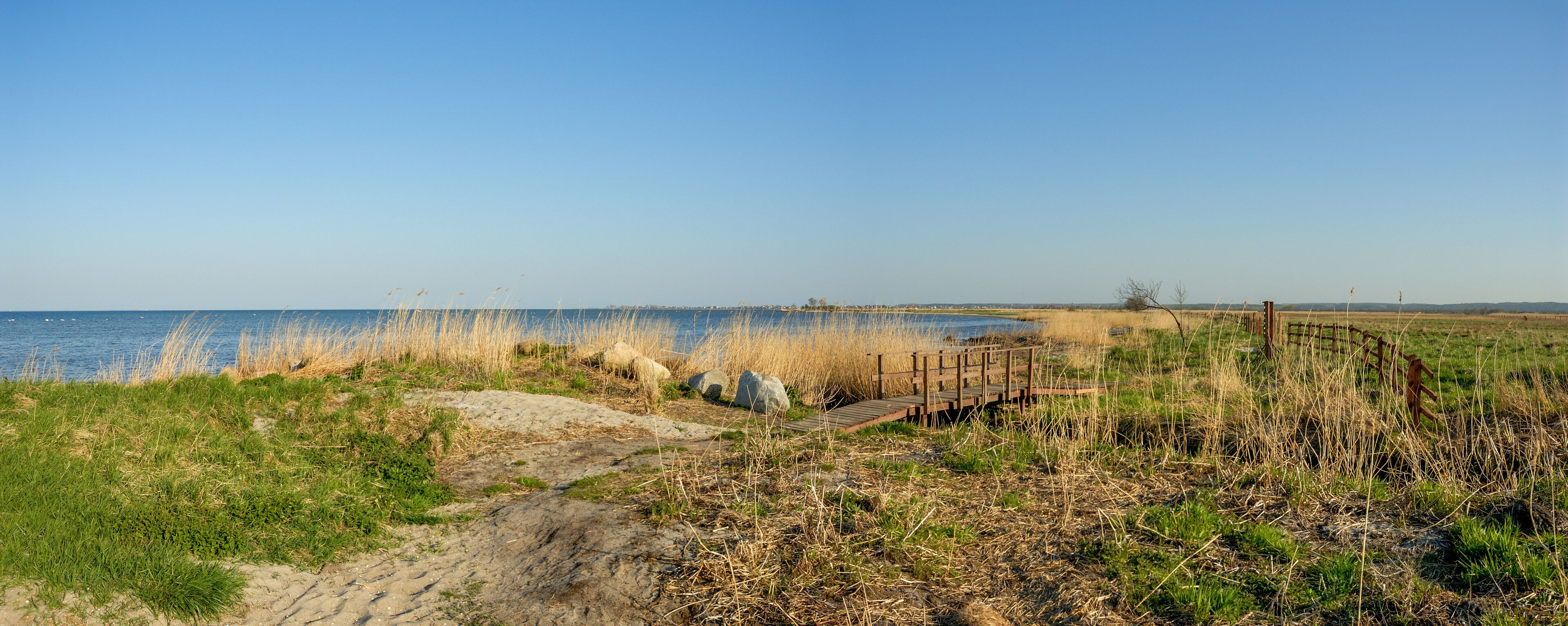 Baltic Sea coastscape on a sunny day (panoramic view) - Beka Nature Reserve - Puck Bay, Pomerania, Poland