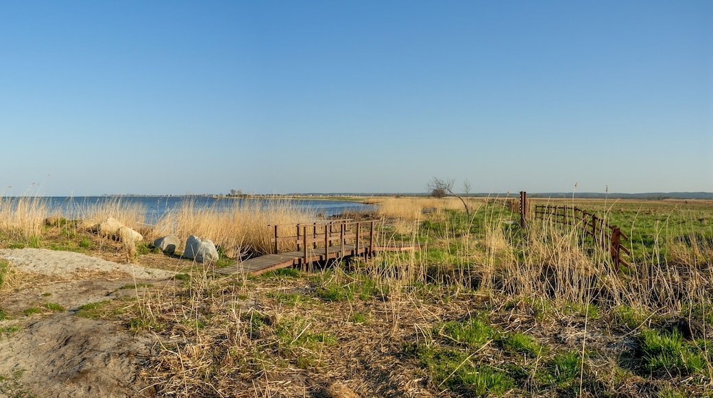 Baltic Sea coastscape on a sunny day (panoramic view) - Beka Nature Reserve - Puck Bay, Pomerania, Poland