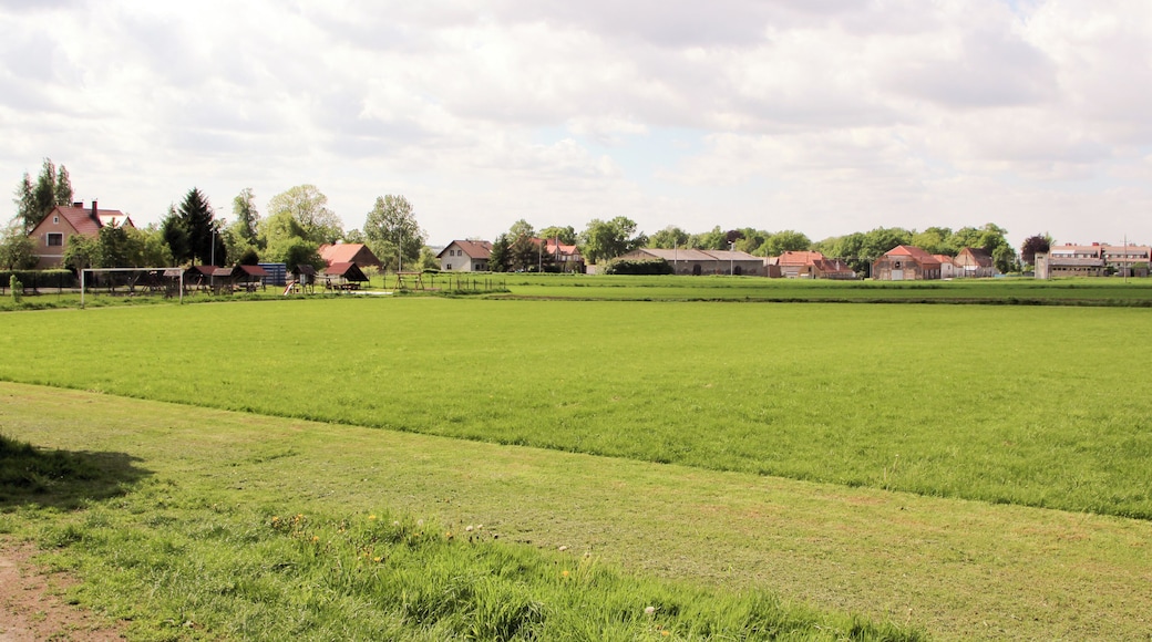 Jerzmanki – wieś w Polsce, w województwie dolnośląskim, w powiecie zgorzeleckim, w gminie Zgorzelec.