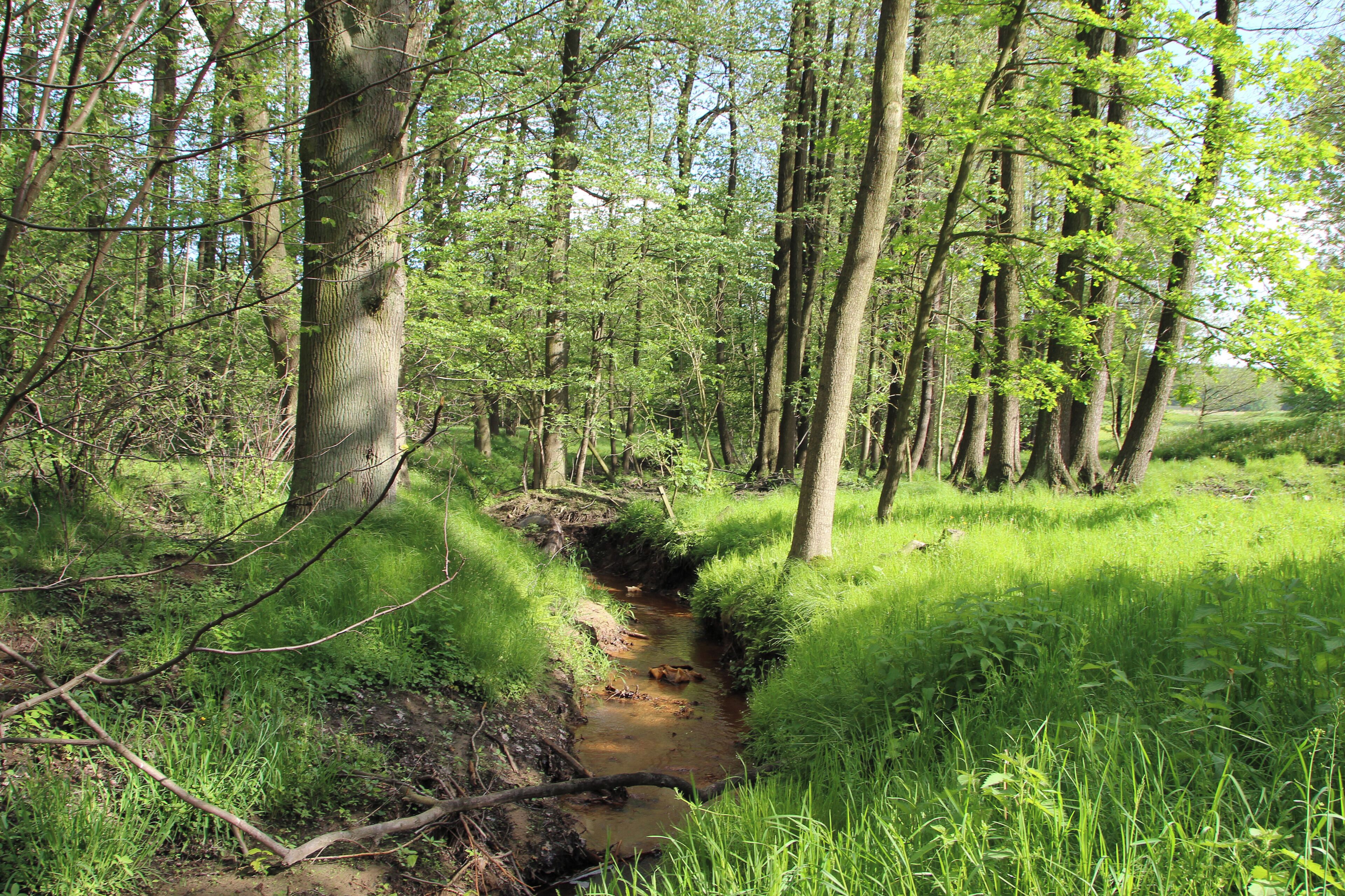 Białogórze – wieś w Polsce, w województwie dolnośląskim, w powiecie zgorzeleckim, w gminie Zgorzelec.