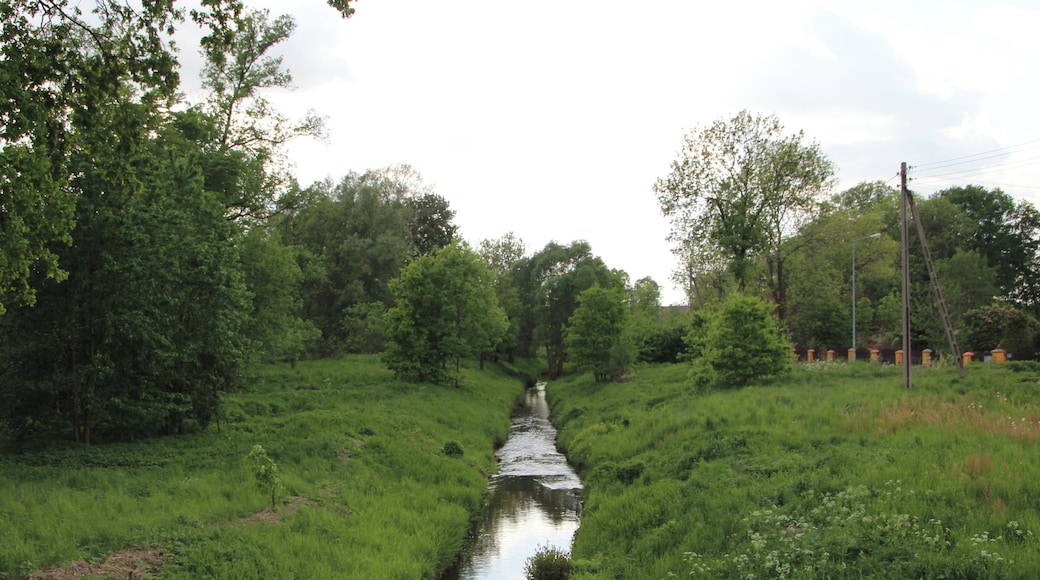 Gronów – wieś w Polsce, w województwie dolnośląskim, w powiecie zgorzeleckim, w gminie Zgorzelec.