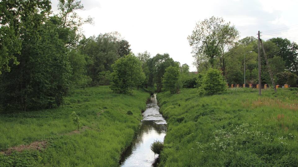 A narrow waterway flanked by lush green grass and trees.