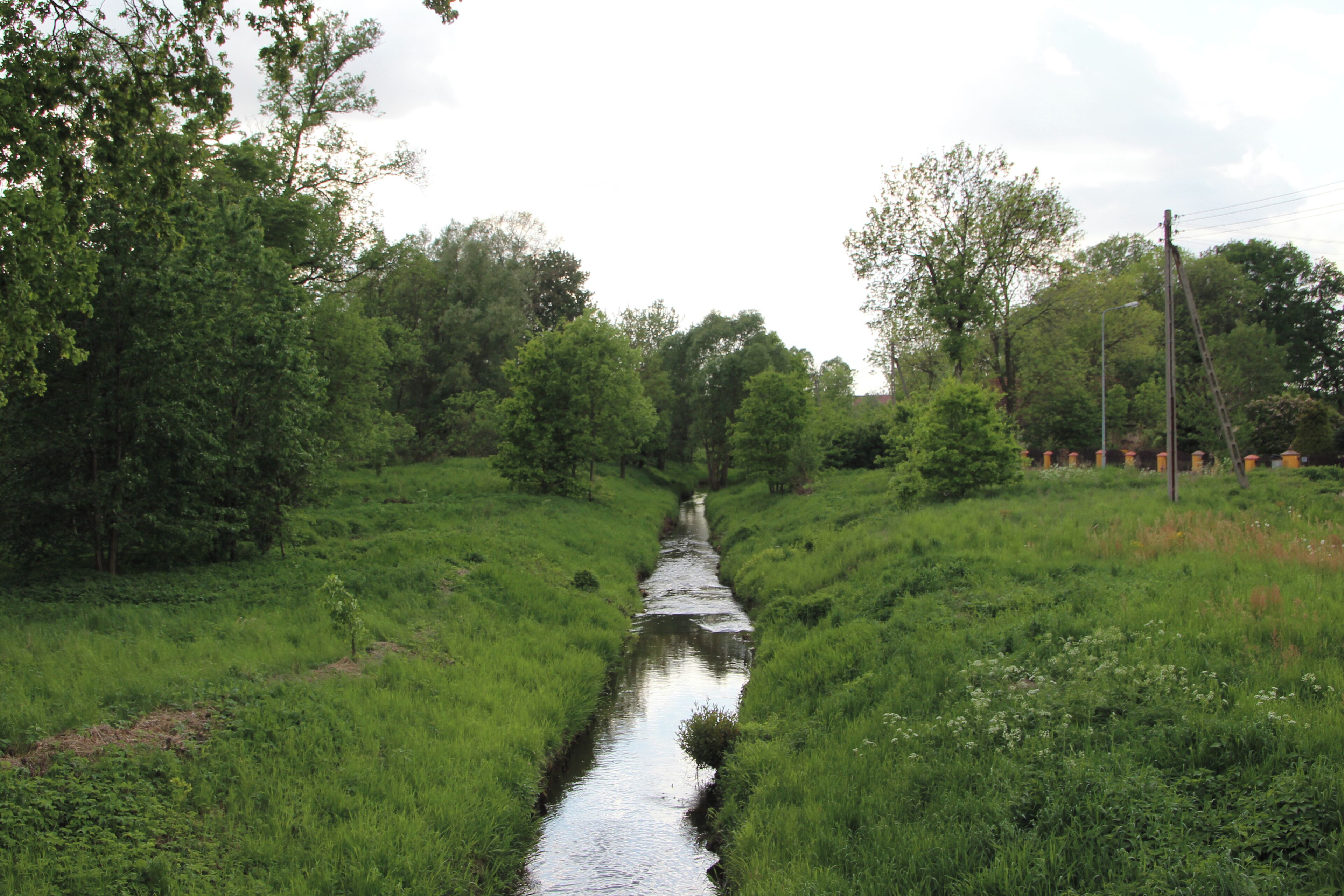 A narrow waterway flanked by lush green grass and trees.